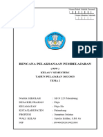 RPP Tema 2