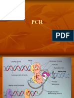 PCR