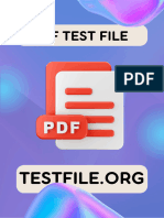 100mb Testfile - Org Compressed