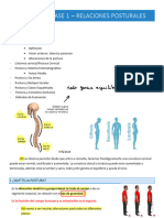 13 Relaciones Posturales