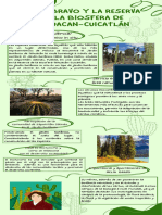 Infografía Linea de Tiempo Ilustrada Papel Con Fotografías