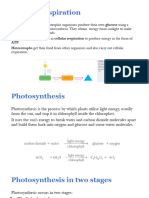 Respiration Powerpoint