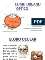 El Ojo Como Organo Final