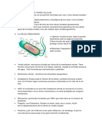 Biología - Biología Celular