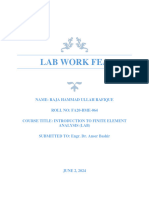 Fa20-Bme-064 (Fea Lab A1) PDF