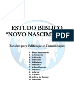 Estudo Bíblico para Consolidação