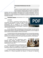 Evaluacion de Capacidades Profesionales Del Ciclo Superior 2023