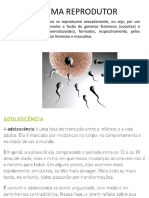 PDF Aula 1.sistema Reprodutor Masculino