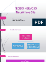 Aula 2 - TECIDO NERVOSO