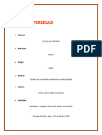 Actividad 3. Infografía de Los Tres Niveles de Atención