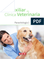 Aux Clinica Veterinaria 08