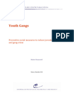 Youth Gangs - Final Report