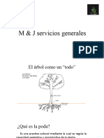 M & J Servicios Generales PPT Poda