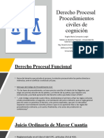 2022 Derecho Procesal JOMC