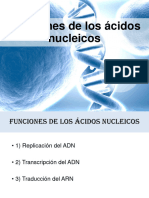 Replicación Del ADN