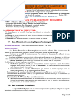 Module 1 Seq 6 Le Flux D'energie Et Les Cycles Du Carbone Et de