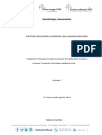 Actividad 1 BL 1 Neurofisiología y Neuroanatomía.