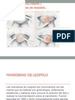 Maniovras de Leopodls Power-1