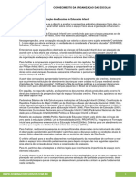 10 Conhecimento Da Organização Das Escolas de Educação Infantil