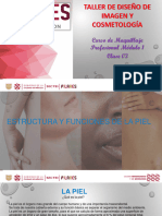 Clase 3-22 - BXF Estructura y Funciones de La Piel