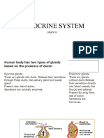 8 Endocrine System