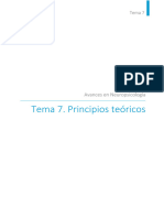 Tema 7. Principios Teóricos