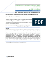 Effect of Potential of Beauveria Bassiana and Metarrhizium Sp. To Control The Plutella Xylostella Pest in South Kalimanatan