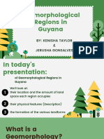 Geomorphological Regions in Guyana