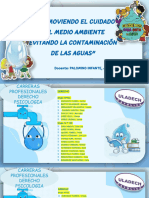 Diapositivas Del Ssu Rs Viii