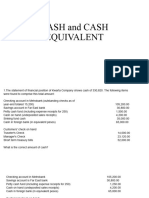 CASH and CASH EQUIVALENT EXERCISES