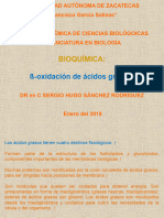 Beta Oxidación Ácidos Grasos