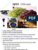 Grape