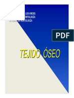 14.tejido Óseo