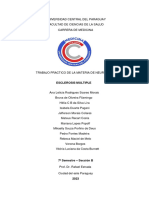 Esclerosis Multiple