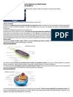 Material de Estudio para La Evaluación Trimestral de Primer Periodo