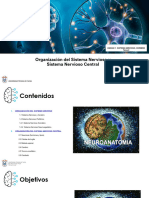 Organización Del Sistema Nervioso y SNC - Jue y Vie