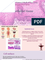 Epithelial Tissue