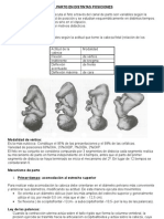 Obstetricia - El Parto en Distintas Posiciones1