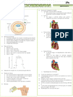 Curso ECG Cardiopappers