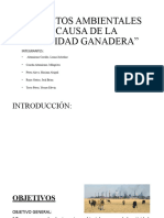 Evaluación de Impacto Ambiental