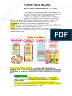 Partes de La Misa y Tarea