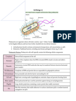 Eukaryotes Have A Much More Complex Cell Structure Than Prokaryotes