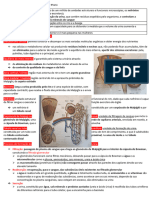 Teste Ciências Sistema Excretor 9 Ano