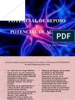 Potencial de Reposo y Potencial de Accion2014