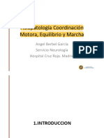 Coordinación Motora, Equilibrio y Marcha