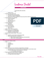 Anatomia Dental