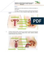 Actividad Aparatos Reproductores