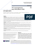 UBR7 Inhibits HCC Tumorigenesis by Targeting Keap1/Nrf2/Bach1/HK2 and Glycolysis