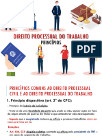 Principios Do Processo Do Trabalho