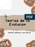 Primeras Toerias de La Evolucion